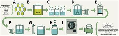 In vitro Characterization of Anti-SARS-CoV-2 Intravenous Immunoglobulins (IVIg) Produced From Plasma of Donors Immunized With the BNT162b2 Vaccine and Its Comparison With a Similar Formulation Produced From Plasma of COVID-19 Convalescent Donors